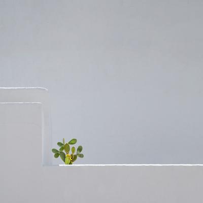 Premium Photographic Print, , small
