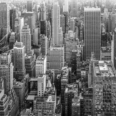 Premium Photographic Print, , small