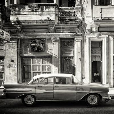 Premium Photographic Print, , small