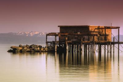 Premium Photographic Print, , small