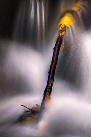 Premium Photographic Print, , small