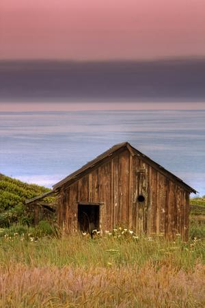 Premium Photographic Print, , small