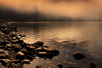 Premium Photographic Print, , small