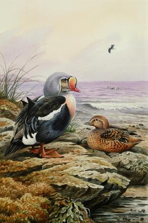 Premium Giclee Print, , small