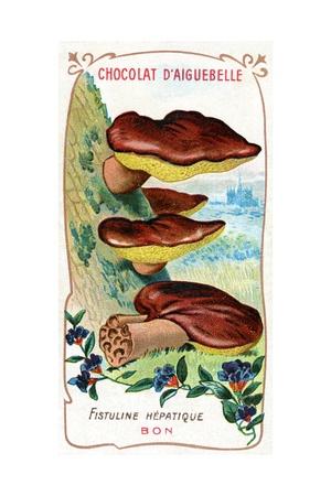 Premium Giclee Print, , small