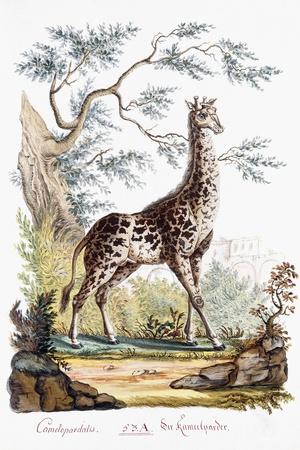 Premium Giclee Print, , small