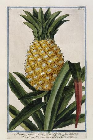 Premium Giclee Print, , small