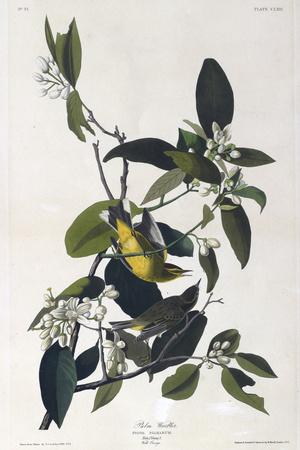 Premium Giclee Print, , small