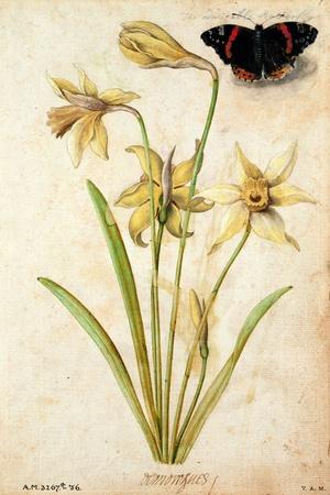 Premium Giclee Print, , small