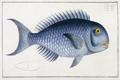 Premium Giclee Print, , small