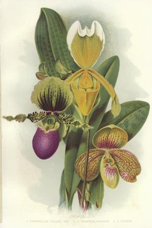 Premium Giclee Print, , small