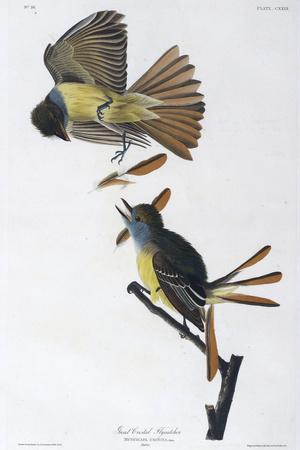 Premium Giclee Print, , small