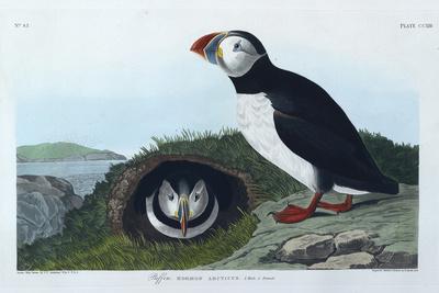 Premium Giclee Print, , small