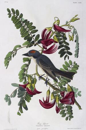 Premium Giclee Print, , small