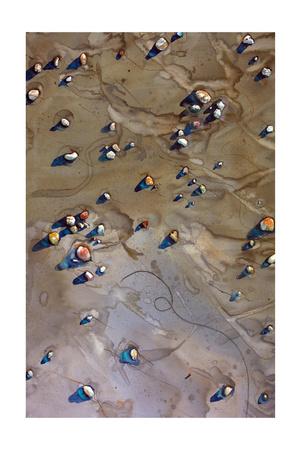 Premium Giclee Print, , small