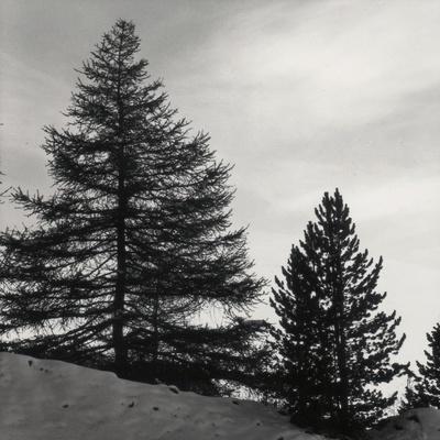 Premium Giclee Print, , small
