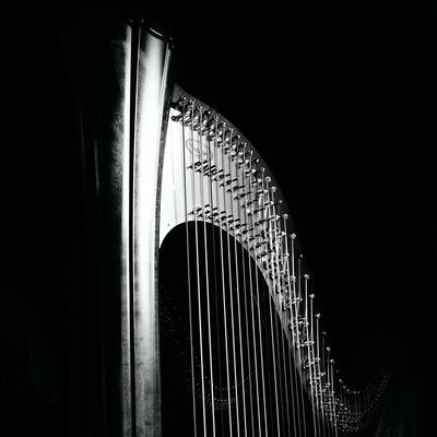 Premium Photographic Print, , small