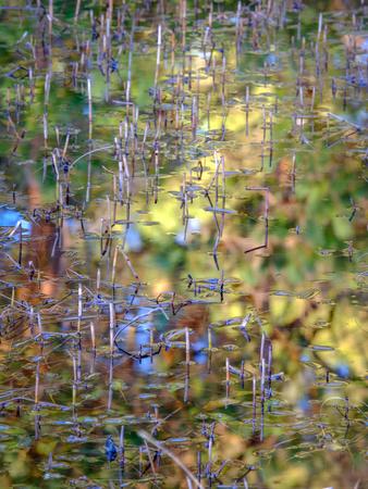 Premium Photographic Print, , small