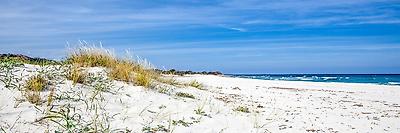 Premium Photographic Print, , small