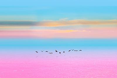 Premium Photographic Print, , small