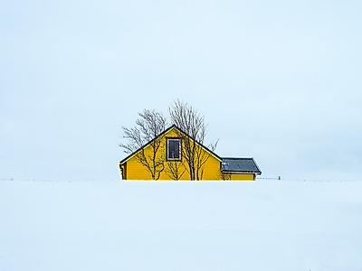 Premium Photographic Print, , small