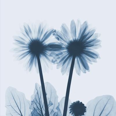 Premium Giclee Print, , small