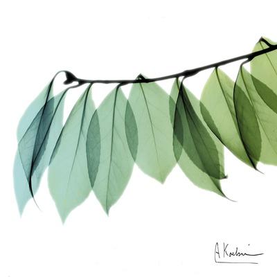 Premium Giclee Print, , small