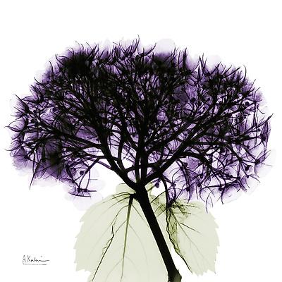Premium Giclee Print, , small