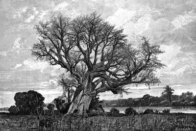 Premium Giclee Print, , small