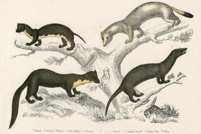 Premium Giclee Print, , small