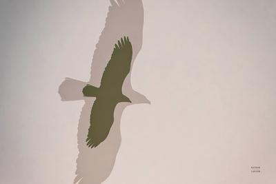 Premium Giclee Print, , small