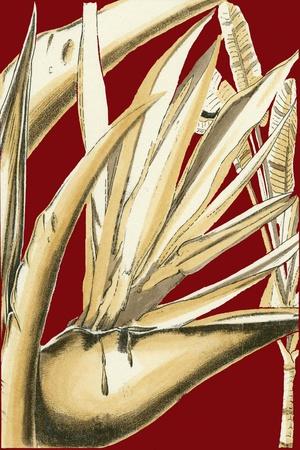 Premium Giclee Print, , small