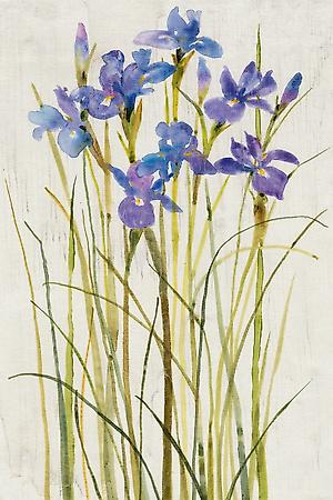 Premium Giclee Print, , small