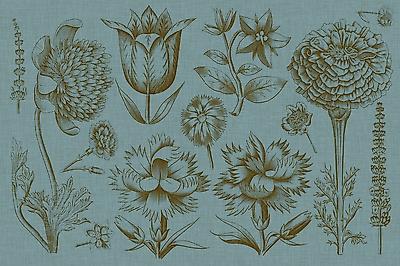 Premium Giclee Print, , small