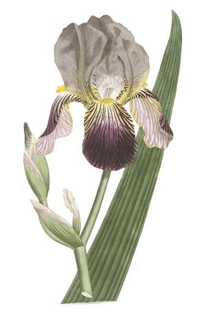 Premium Giclee Print, , small