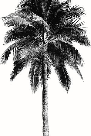 Premium Giclee Print, , small