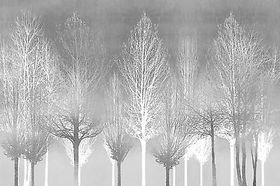 Premium Giclee Print, , small