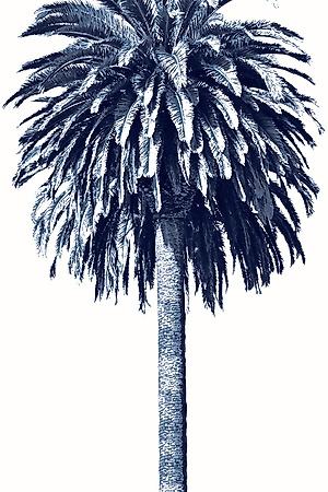 Premium Giclee Print, , small