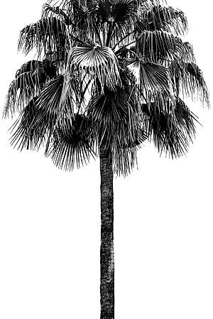 Premium Giclee Print, , small
