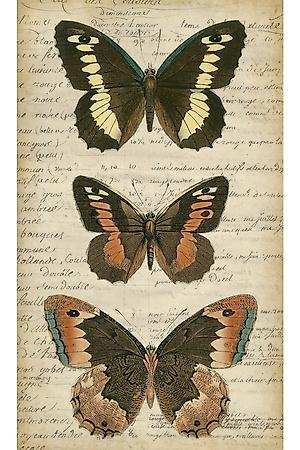 Premium Giclee Print, , small