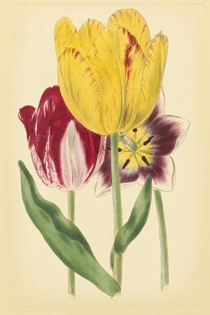 Premium Giclee Print, , small