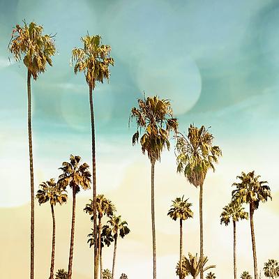 Premium Giclee Print, , small