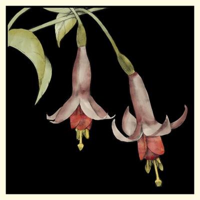 Premium Giclee Print, , small