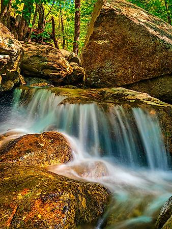 Premium Photographic Print, , small