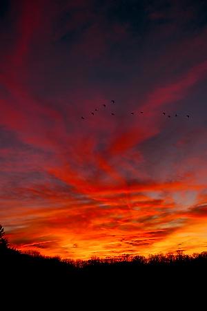 Premium Photographic Print, , small