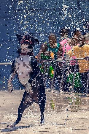 Premium Photographic Print, , small