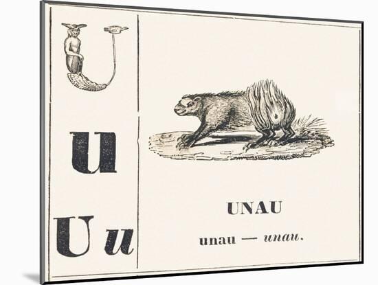 U like Unau, 1850 (Engraving)-Louis Simon (1810-1870) Lassalle-Mounted Giclee Print