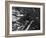 U.S. 21st Bomber Command Dropped Incendiary Bombs on Osaka-null-Framed Photo