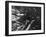 U.S. 21st Bomber Command Dropped Incendiary Bombs on Osaka-null-Framed Photo