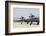 U.S. Air Force A-10 Thunderbolt Ii Aircraft at Davis Monthan Air Force Base-Stocktrek Images-Framed Photographic Print